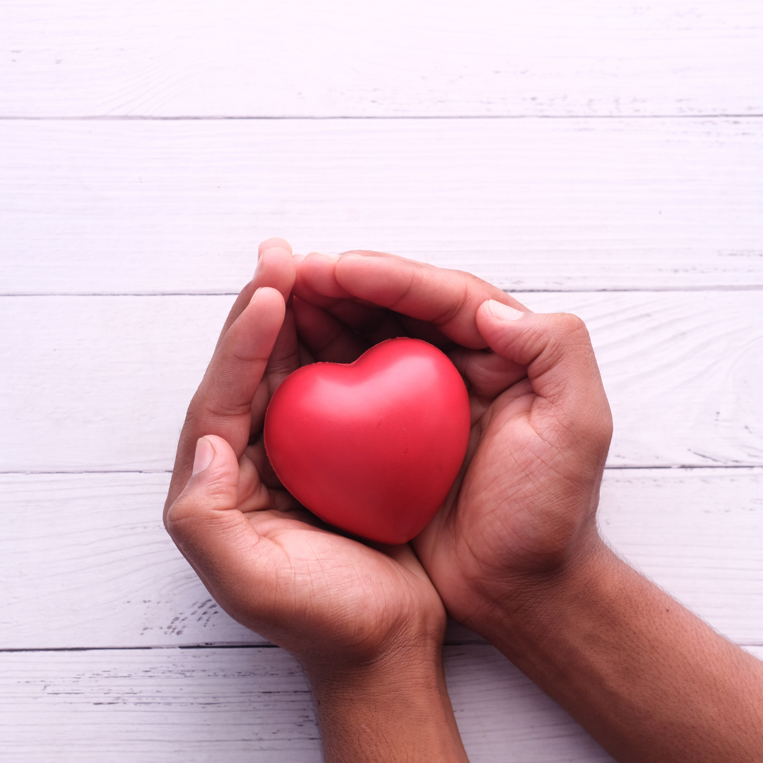 Hands holding a foam heart