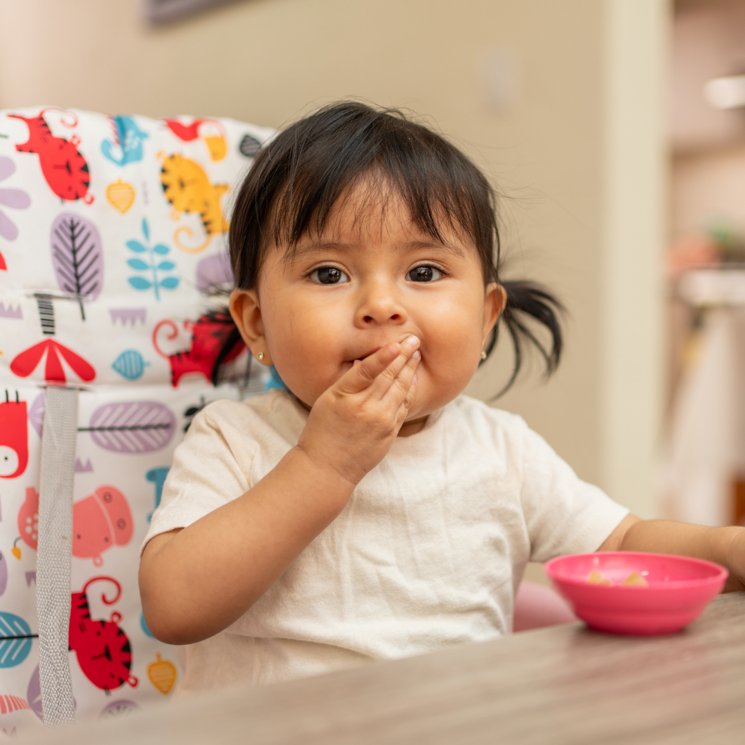 Portrait of a Hispanic Toddler Girl Eating on Her Baby Chair Looking at Camera While Feeding Putting Her Hand in Mouth